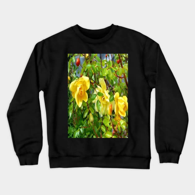 World roses Crewneck Sweatshirt by Marcel1966